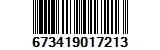 673419017213