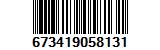 673419058131