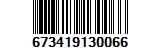 673419130066