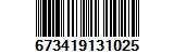 673419131025